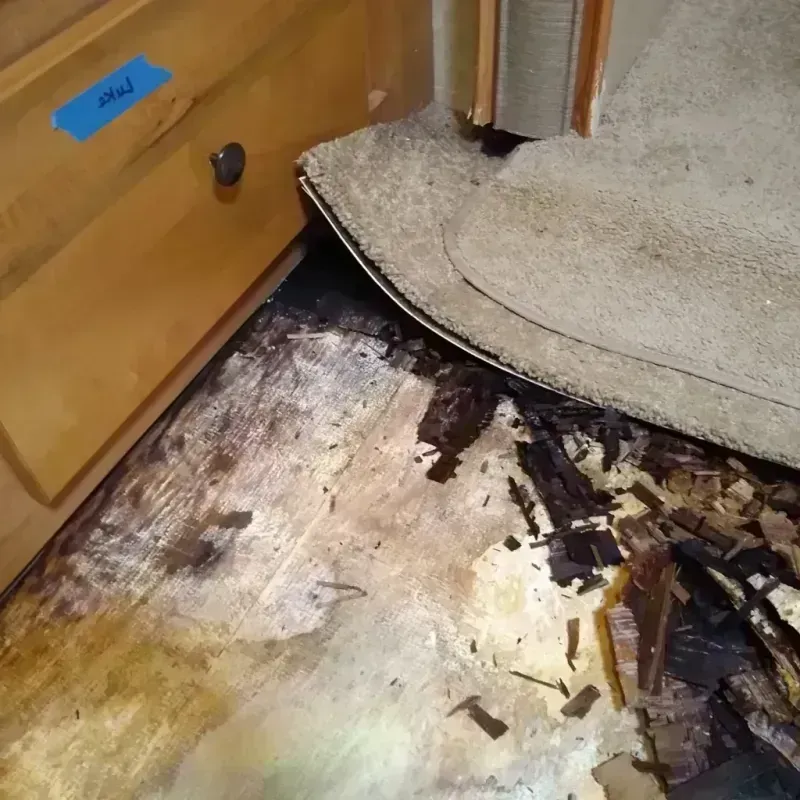 Wood Floor Water Damage in Douglas County, OR